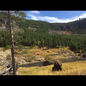 Meet your Posher, Maria